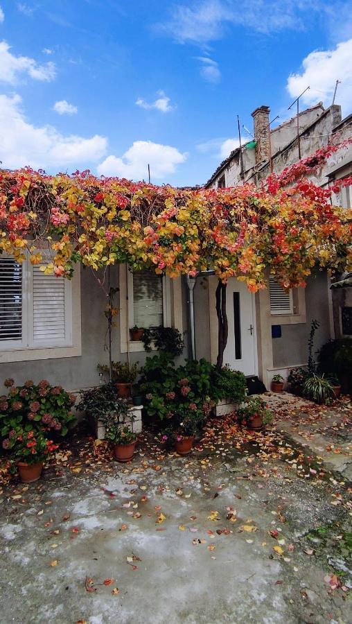 Studio Apartman Lenka Σπλιτ Εξωτερικό φωτογραφία